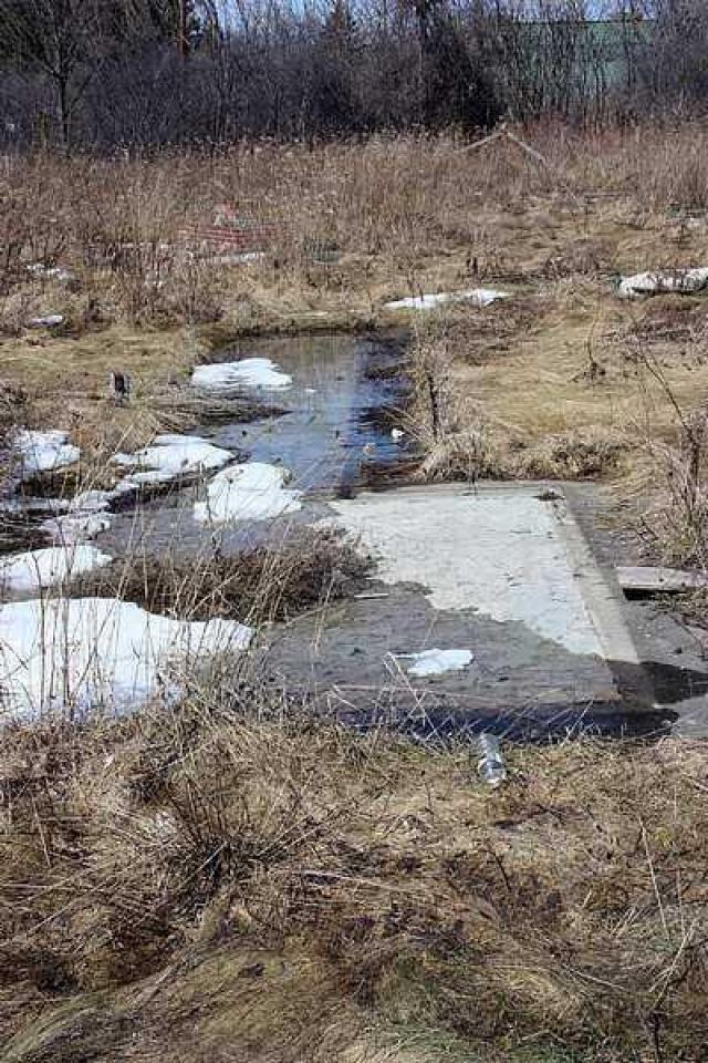 Thunderbird Down photo 2