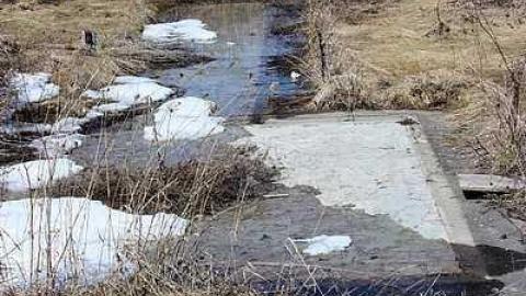 Thunderbird Down photo 2