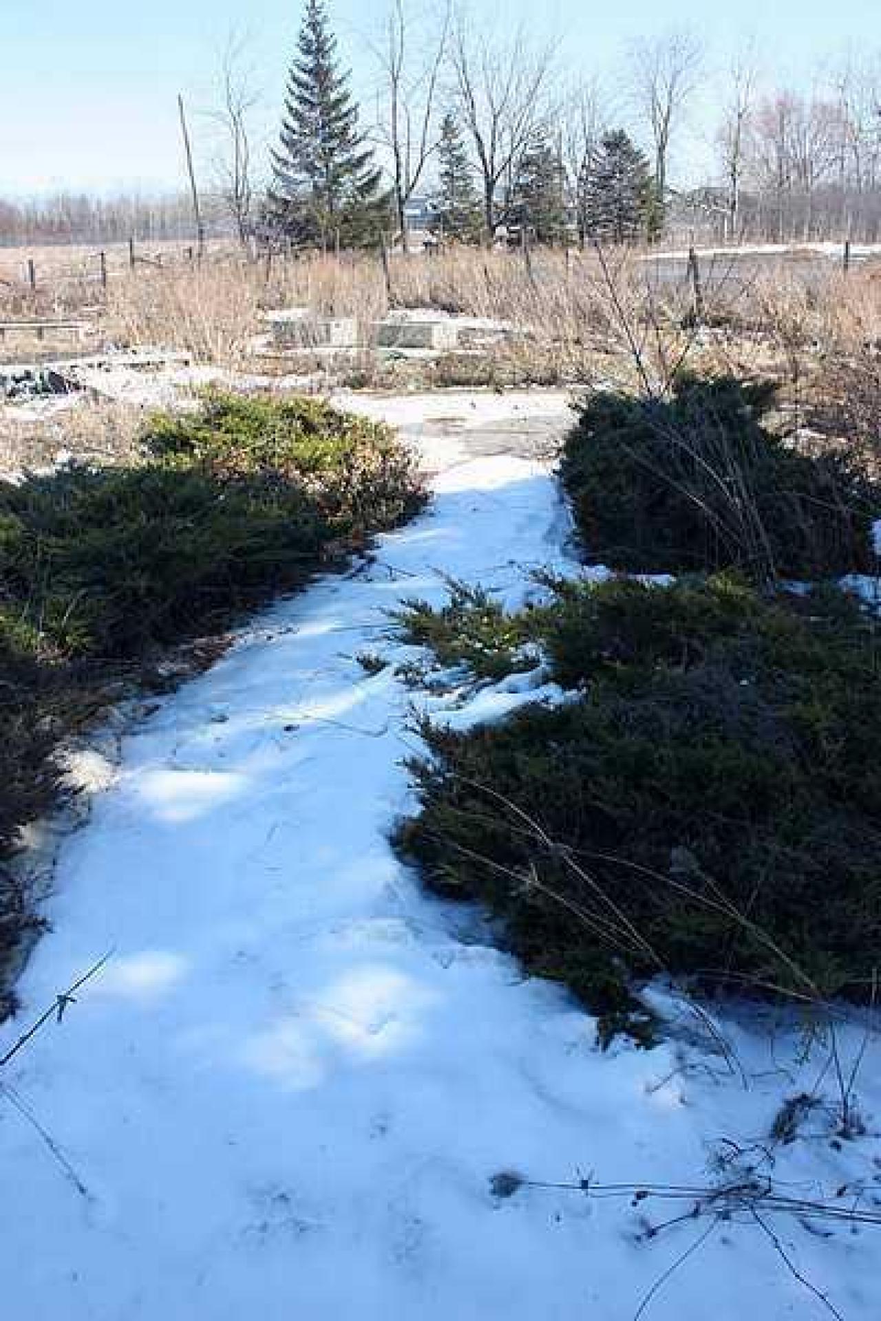 April 2015 - Thunderbird-Down19.jpg