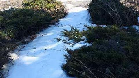 April 2015 - Thunderbird-Down19.jpg