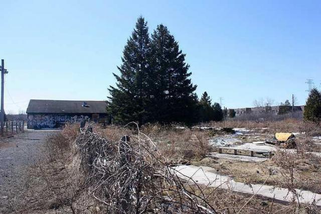 Thunderbird Down photo 4