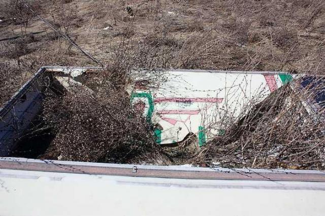 Thunderbird Down photo 5