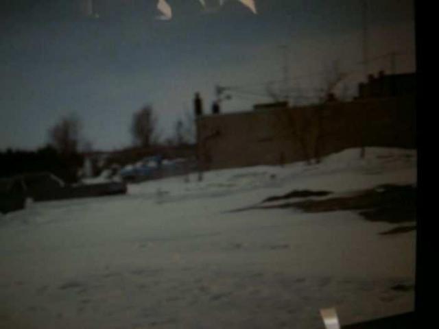 Cannibal Girls- Hazelburn - Aurora, Ontario