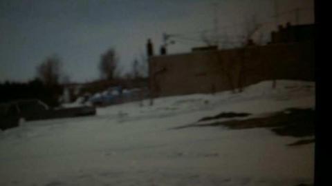 Cannibal Girls- Hazelburn - Aurora, Ontario