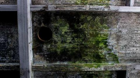 First Trip, April 2015 - Linseed-Factory317.jpg