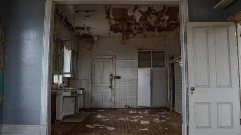 Cinereal Fog - wbimage.jpg