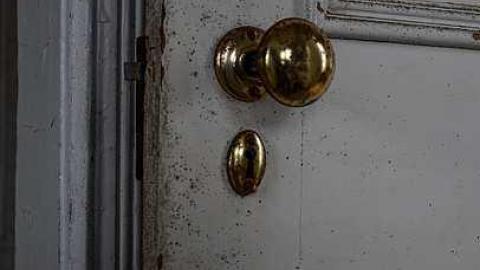 Cinereal Fog - dzimage.jpg