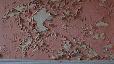 Cinereal Fog - tcimage.jpg