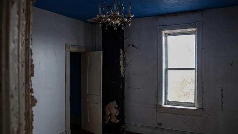 Cinereal Fog - syimage.jpg