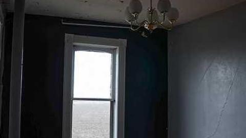 Cinereal Fog - sfimage.jpg