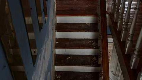 Cinereal Fog - usimage.jpg