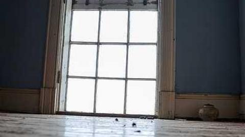 Cinereal Fog - ozimage.jpg