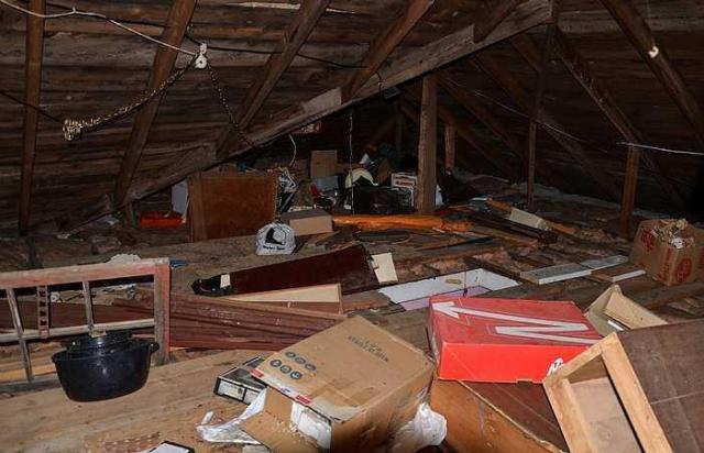 Cinereal Fog photo 5