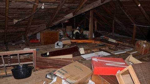 Cinereal Fog - voimage.jpg