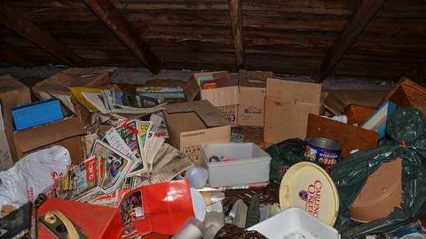 Cinereal Fog - pgimage.jpg