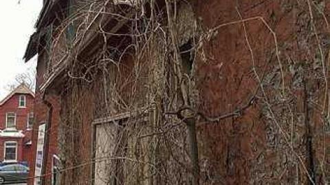 April 2015 - WP_20150409_10_29_25_Pro.jpg