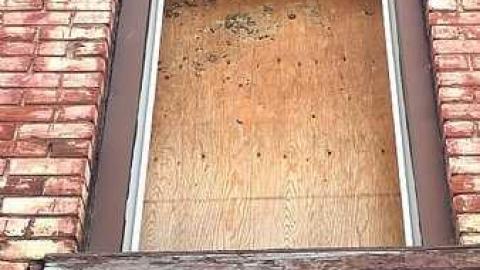 April 2015 - WP_20150409_11_20_34_Pro.jpg