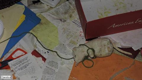 Photo from Creepy Nursing Home