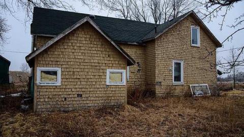 T. Bird & Friends - T.-Bird--Friends35.jpg