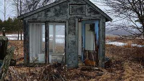 T. Bird & Friends - T.-Bird--Friends23.jpg