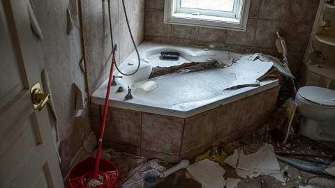 T. Bird & Friends - T.-Bird--Friends25.jpg