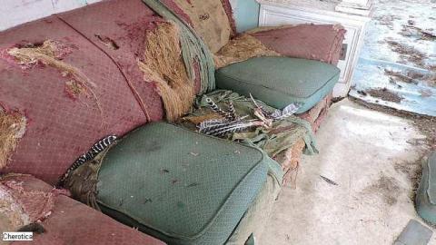 Turkey Snack House - Snack-House1.jpg