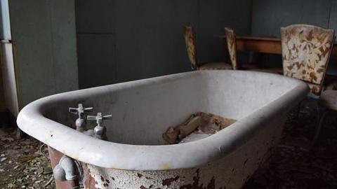 03/2015 - DSC_0278.jpg