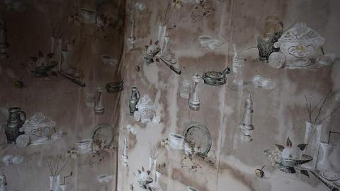 03/2015 - DSC_0285.jpg