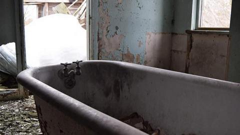 03/2015 - DSC_0287.jpg