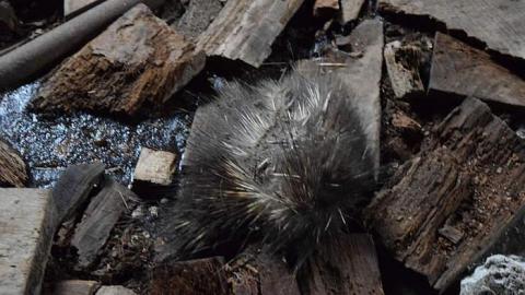 03/2015 - DSC_0294.jpg