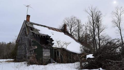 03/2015 - DSC_0297.jpg