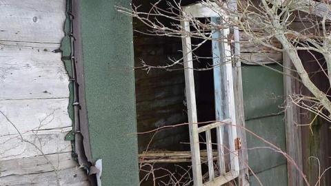 03/2015 - DSC_0298.jpg