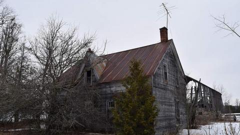 03/2015 - DSC_0299.jpg