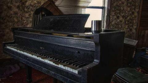 April 2015 - 20150411-IMG_5828.jpg