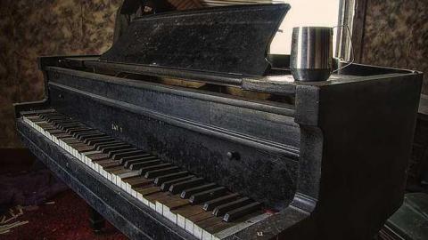 April 2015 - 20150411-IMG_5833.jpg