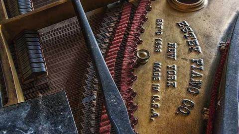 April 2015 - 20150411-IMG_5839.jpg