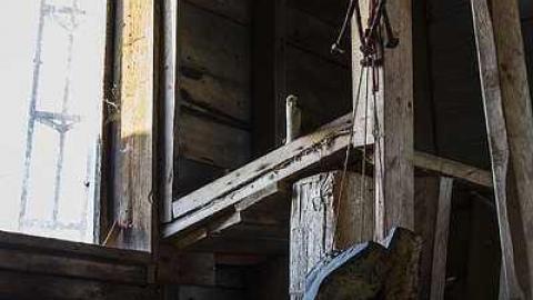 April 2015 - 20150411-IMG_5876.jpg