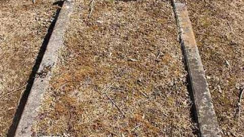 April 2015 - North-Rideau-Methodist-Cemetery15.jpg