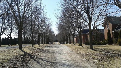 so pretty - The-Prettiest-Street122.png