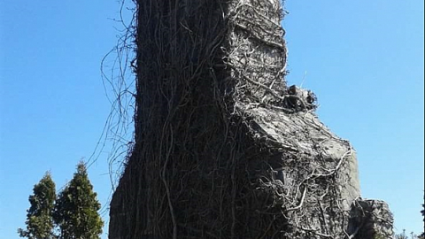 so pretty - The-Prettiest-Street131.png