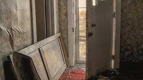 April 11th, 2015 - DSC_0375_2-Edit.jpg