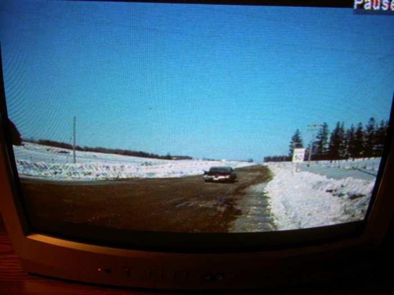 Meat Feast in Aurora  - Cannibal-Girls-Hazelburn1.jpg