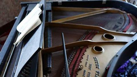 Piano Man '15 - DSC05123.jpg