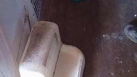 The House - Cat-House10.jpg