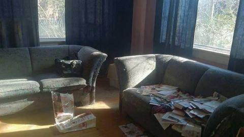 The House - Cat-House21.jpg