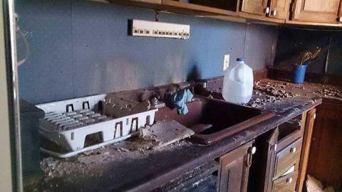 The House - Cat-House14.jpg