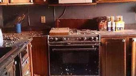 The House - Cat-House22.jpg