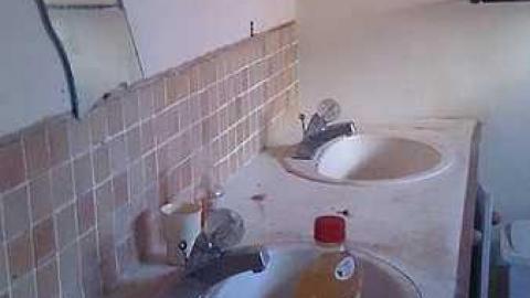 The House - Cat-House15.jpg