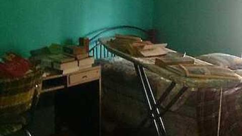 The House - Cat-House11.jpg