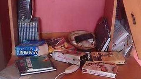 The House - Cat-House25.jpg